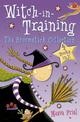 The Broomstick Collection: Books 1-4 (Witch-in-Training)