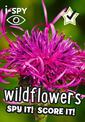 i-SPY Wildflowers: Spy it! Score it! (Collins Michelin i-SPY Guides)