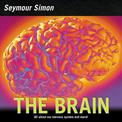 The Brain: All about Our Nervous System and More!