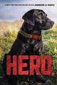 Hero: Rescue Dog