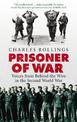 Prisoner Of War: Voices from Behind the Wire in the Second World War