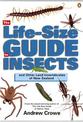 The Life-Size Guide to Insects: and other land invertebrates of New Zealand