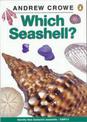 Which New Zealand Seashell?
