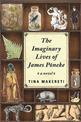 Imaginary Lives of James Poneke, The