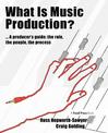 What is Music Production: A Producers Guide, the Role, the People, the Process