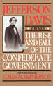 The Rise And Fall Of The Confederate Government: Volume 1