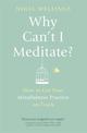 Why Can't I Meditate?: how to get your mindfulness practice on track