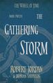 The Gathering Storm: Book 12 of the Wheel of Time (soon to be a major TV series)