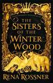 The Sisters of the Winter Wood: The spellbinding fairy tale fantasy of the year