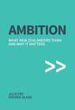 Ambition What New Zealanders Think And Why It Matters