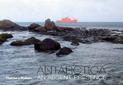 Antartica:An Absent Presence: An Absent Presence