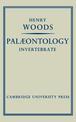 Palaeontology Invertebrate