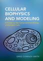 Cellular Biophysics and Modeling: A Primer on the Computational Biology of Excitable Cells