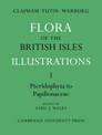 Flora of the British Isles: Illustrations