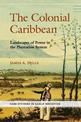 The Colonial Caribbean: Landscapes of Power in Jamaica's Plantation System