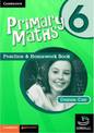 Primary Maths Practice and Homework Book 6