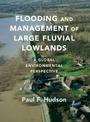 Flooding and Management of Large Fluvial Lowlands: A Global Environmental Perspective
