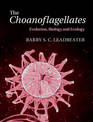 The Choanoflagellates: Evolution, Biology and Ecology