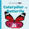 Caterpillar to Butterfly (Growing Up) (Paperback)