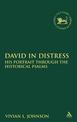 David in Distress: His Portrait Through the Historical Psalms