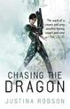 Chasing the Dragon: Quantum Gravity Book Four