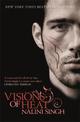 Visions of Heat: Your next paranormal romance obsession