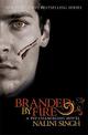Branded by Fire: Book 6