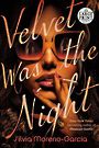 Velvet Was the Night (Large Print)