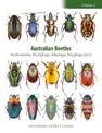Australian Beetles Volume 2: Archostemata, Myxophaga, Adephaga, Polyphaga (part)