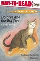 Dolores and the Big Fire: Dolores and the Big Fire (Ready-to-Read Level 1)