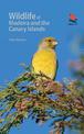 Wildlife of Madeira and the Canary Islands: A Photographic Field Guide to Birds, Mammals, Reptiles, Amphibians, Butterflies and