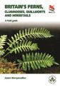 Britain's Ferns: A Field Guide to the Clubmosses, Quillworts, Horsetails and Ferns of Great Britain and Ireland