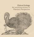 Picture Ecology: Art and Ecocriticism in Planetary Perspective