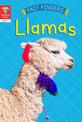 Reading Gems Fact Finders: Llamas (Level 1)