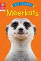 Reading Gems Fact Finders: Meerkats (Level 1)