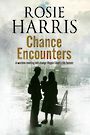 Chance Encounters (Large Print)