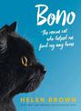 Bono: the rescue cat who helped me find my way home