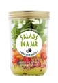 Hachette Healthy Living: Salads in a Jar
