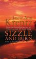 Sizzle And Burn: Number 3 in series