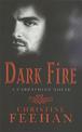 Dark Fire: Number 6 in series