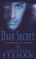 Dark Secret: Number 15 in series