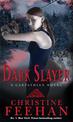 Dark Slayer: Number 20 in series