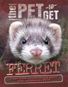 The Pet to Get: Ferret