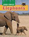 Animal Families: Elephants
