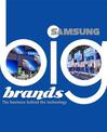 Big Brands: Samsung