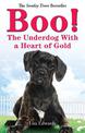 Boo!: The Underdog With a Heart of Gold
