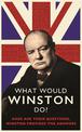 What Would Winston Do?: Dads ask their questions, Winston provides the answers: THE PERFECT GIFT FOR DADS THIS CHRISTMAS