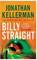 Billy Straight: An outstandingly forceful thriller