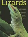 Lizards: A Natural History of Some Uncommon Creatures - Extraordinary Chameleons, Iguanas, Geckos and More