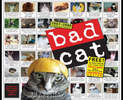 Bad Cat Wall Calendar